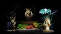 lion statues and plants in a dark room